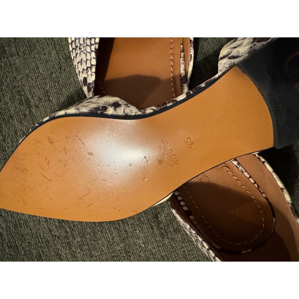 Coach Snake-Print Pointed Toe Flats in Neutral (Beige, Black, Cream) - Picture 3 of 3